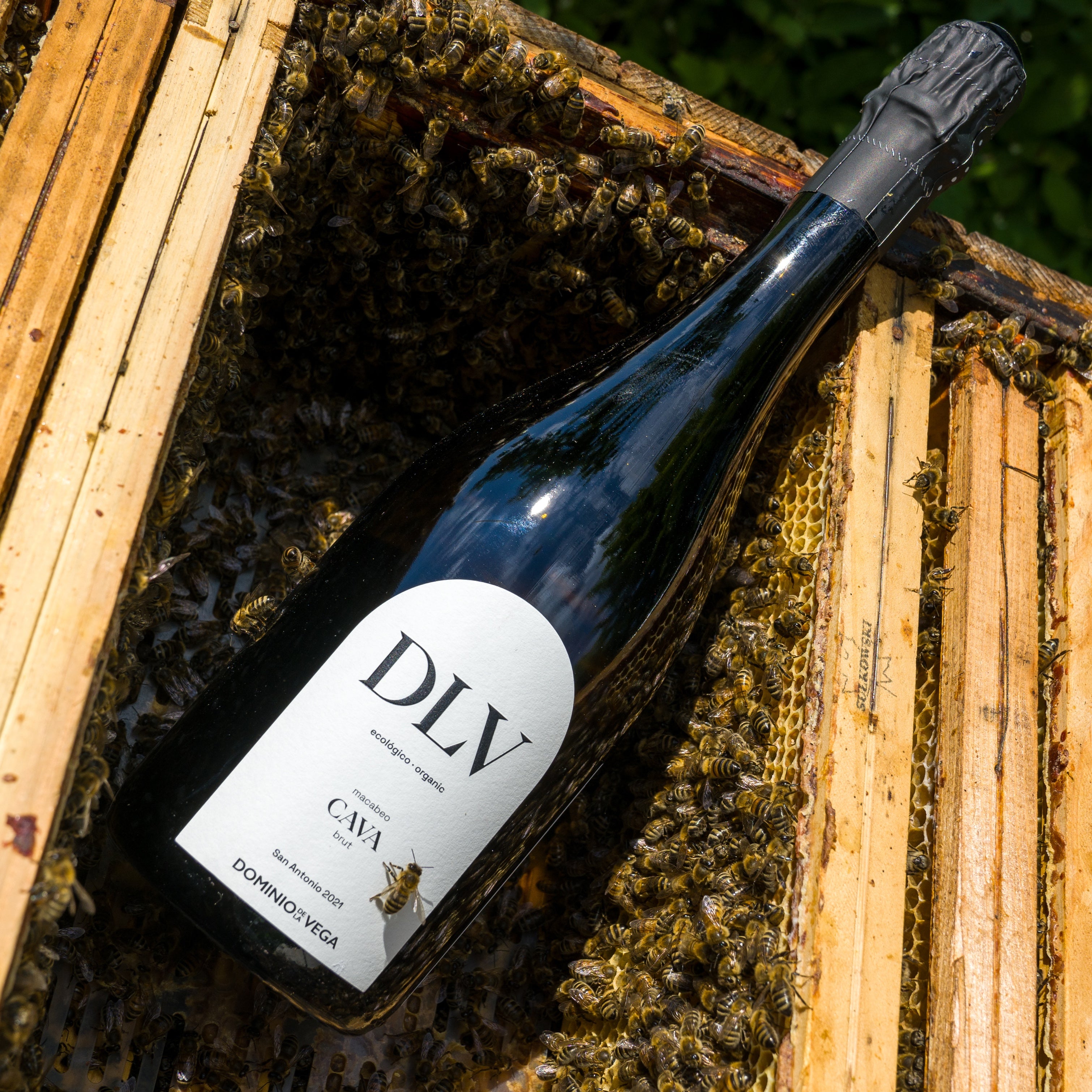 Dominio de la Vega DLV Organic Brut 2021 Cava DO