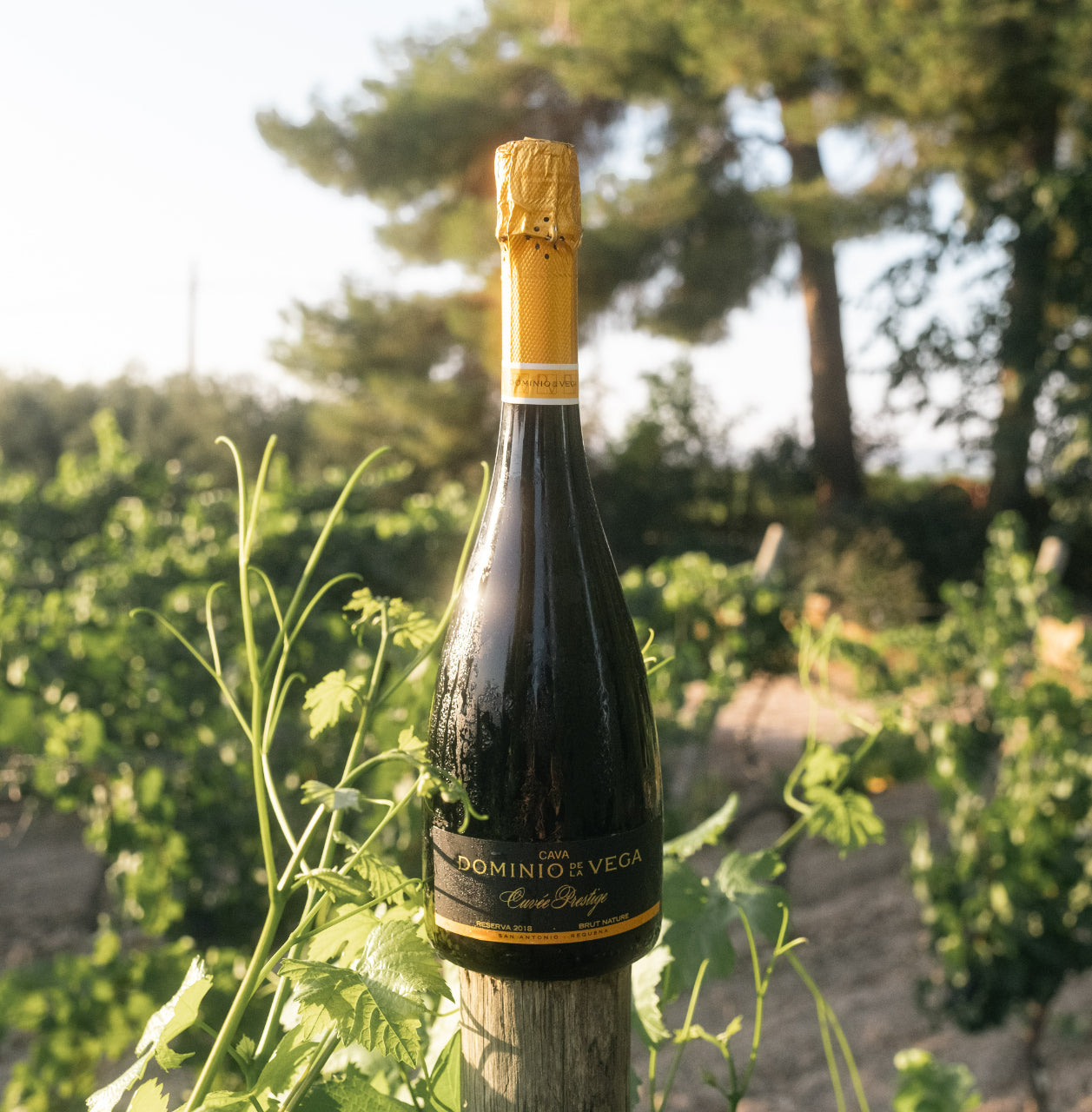 Dominio de la Vega Cuvee Prestige Reserva Brut Nature 2018 Cava DO