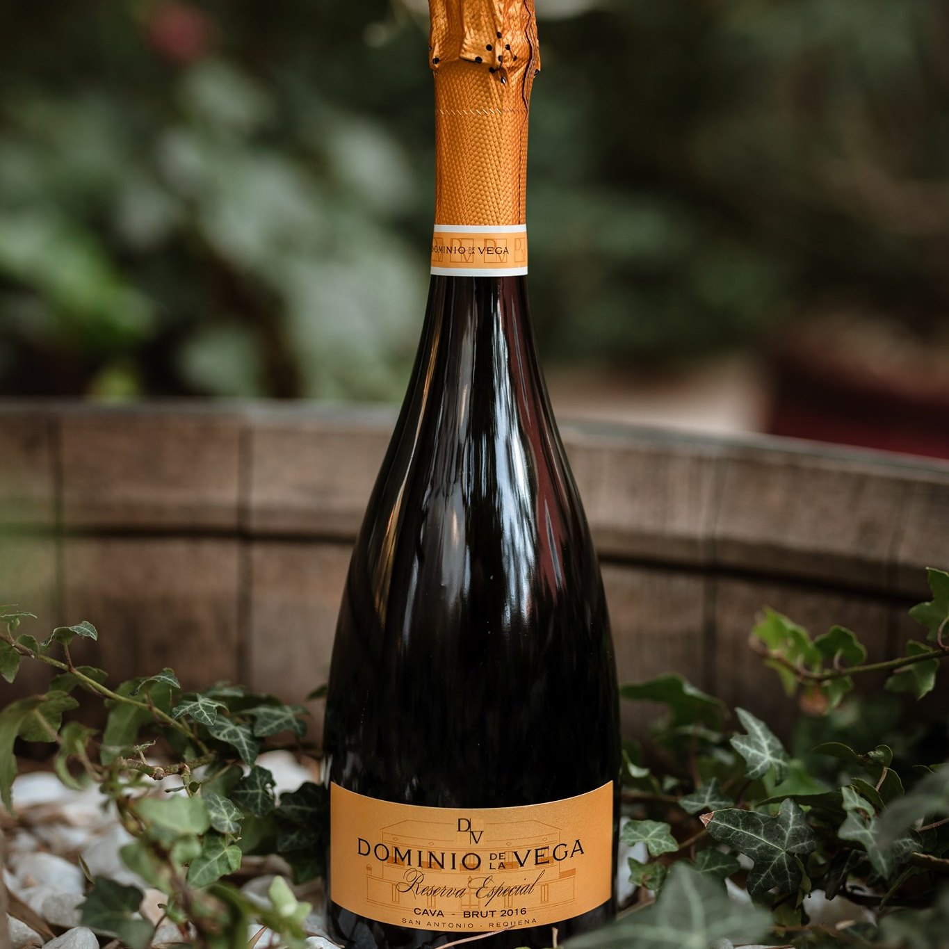 Dominio de la Vega Especial Reserva Brut 2018 Cava DO