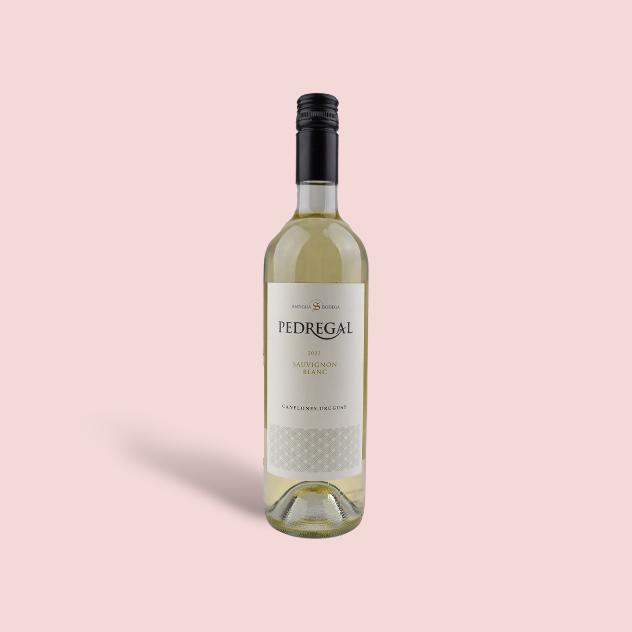 Antigua Bodega Pedregal Sauvignon Blanc 2023 – butelka świeżego i aromatycznego białego wina z Urugwaju o bladożółtym kolorze z zielonkawymi odcieniami