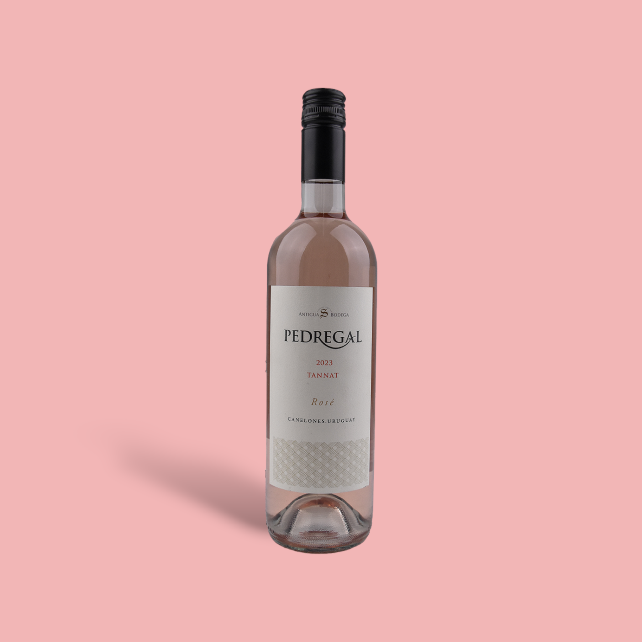 Antigua Bodega Pedregal Tannat Rose 2023