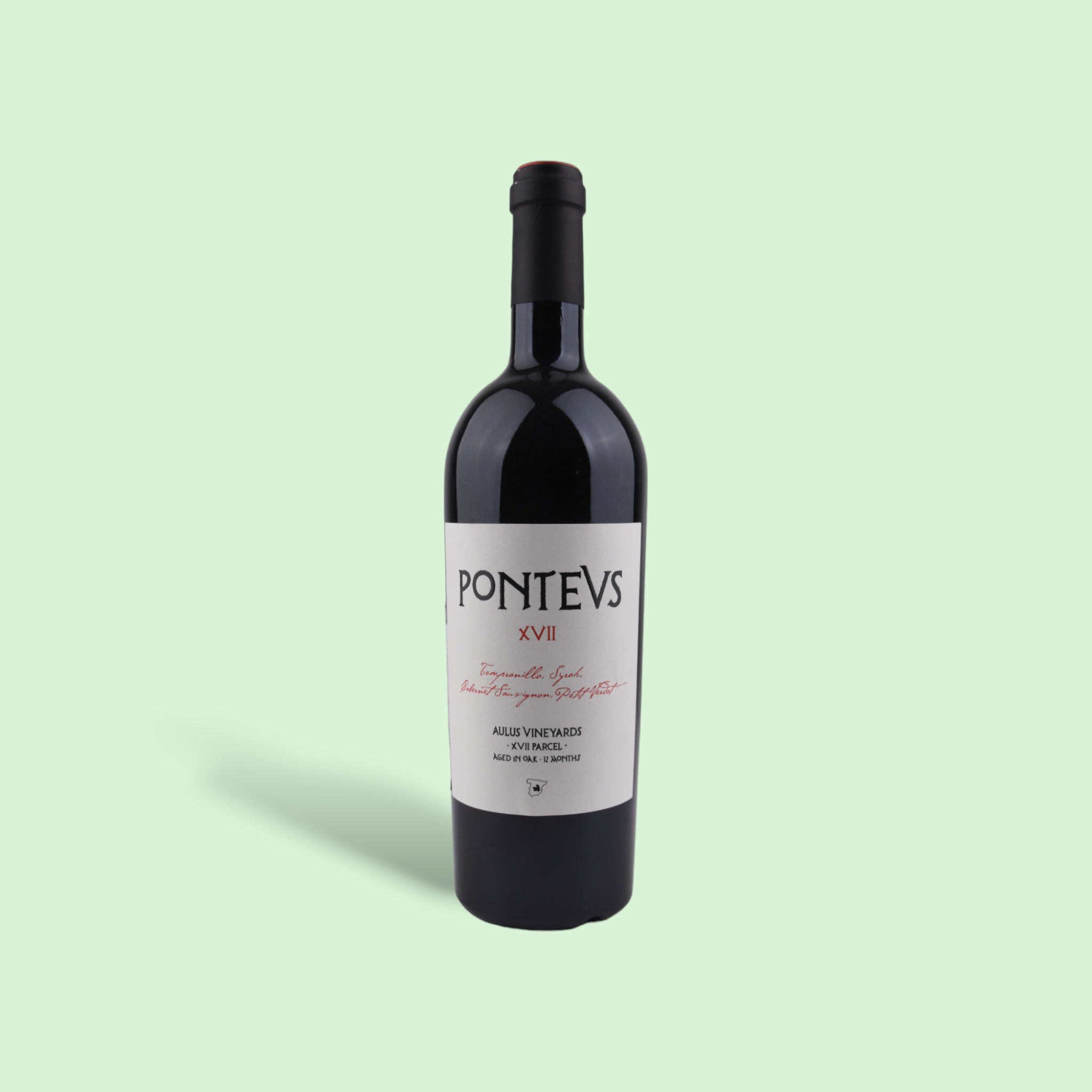 Pontevs XVII Tierra de Castilla IGP 2017