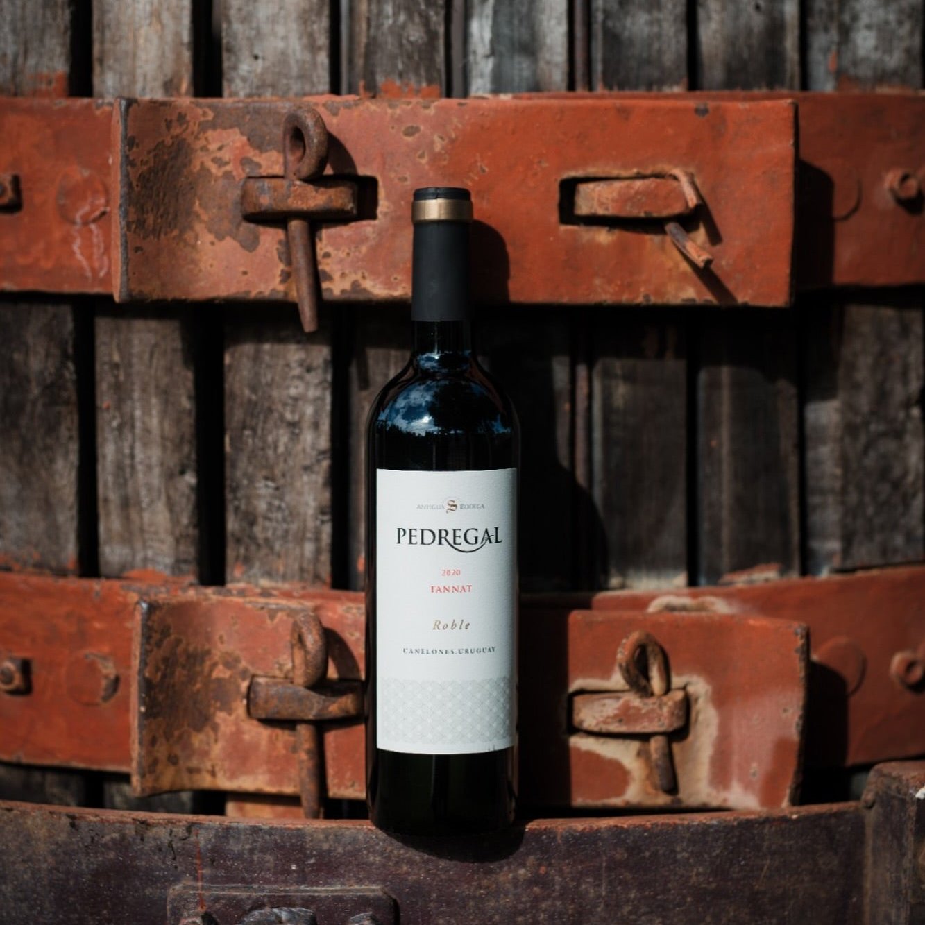 Antigua Bodega Pedregal Tannat 2020 – butelka urugwajskiego czerwonego wina o głębokim rubinowym kolorze i aromatach jagód, gorzkiej czekolady oraz nutami wanilii i przypraw